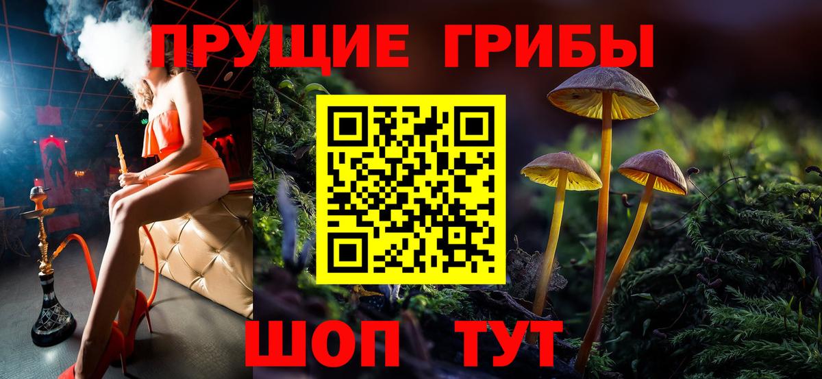 Псилоцибиновые грибы прущие грибы  Псилоцибиновые грибы GOLDEN TEACHER  Ливны  купить   Вход с VPN 